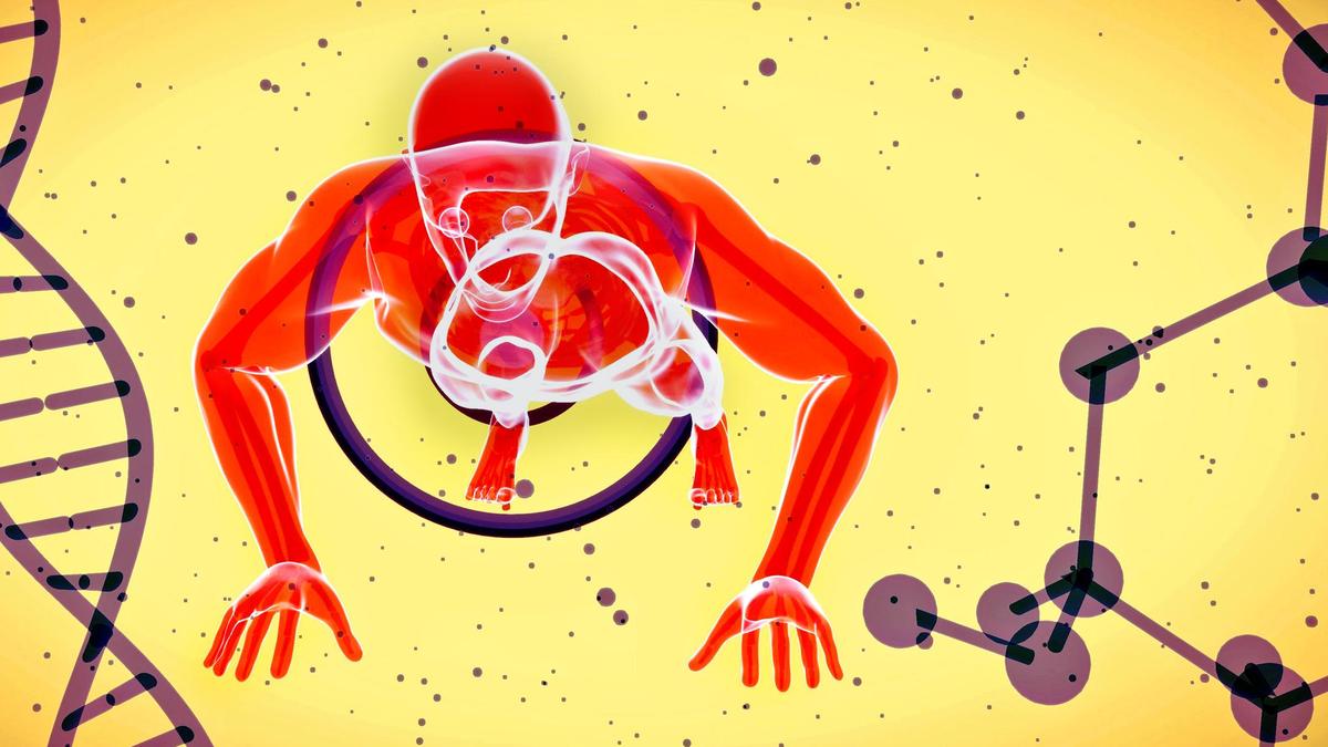 Vitamin D3 Superior to D2 for Muscle and Heart Health: ICMR Study