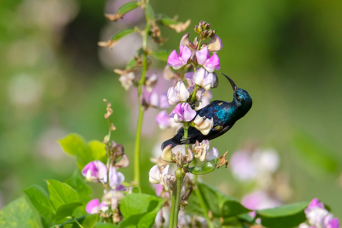 ২২ অক্টোবর: দক্ষিণ এশিয়া জুড়ে শীর্ষ সংবাদ
