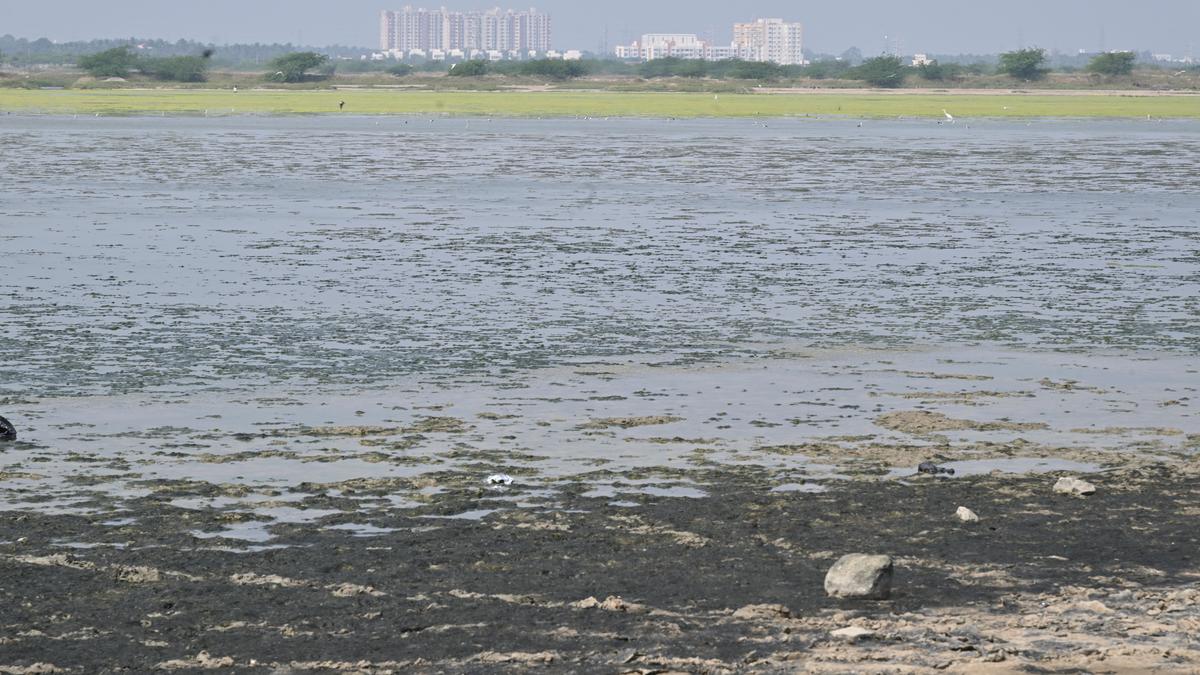 Tamil Nadu's Mamallan Reservoir Project Faces Growing Opposition