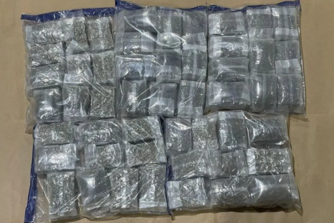 Singapore customs seizes over 391kg of cannabis at Pasir Panjang