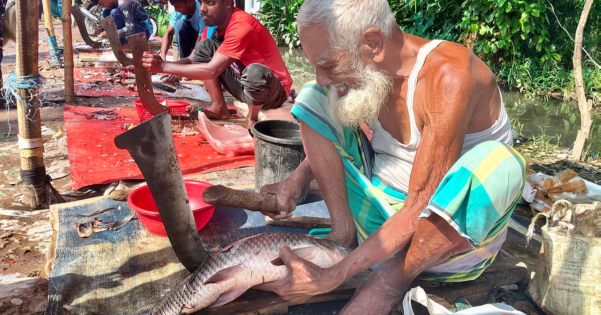 Nonagenarian Niamat battles daily hardships in search of dignity
