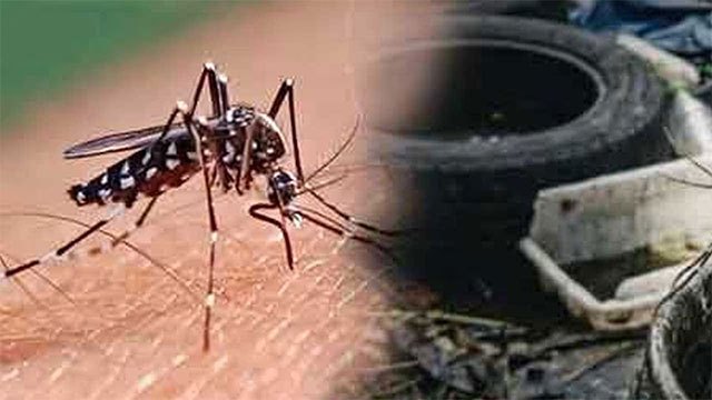 Community-led dengue control initiative launches across region