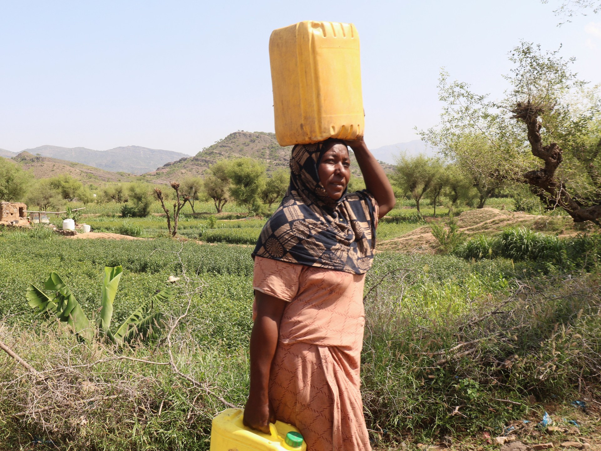 Yemen conflict worsens humanitarian crisis as transport networks collapse
