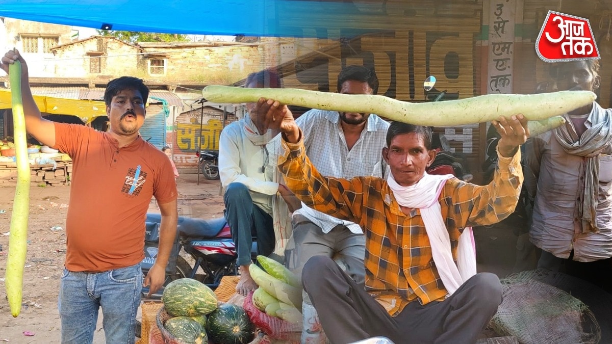 Four-foot-long bottle gourd turns heads at Rajasthan vegetable market