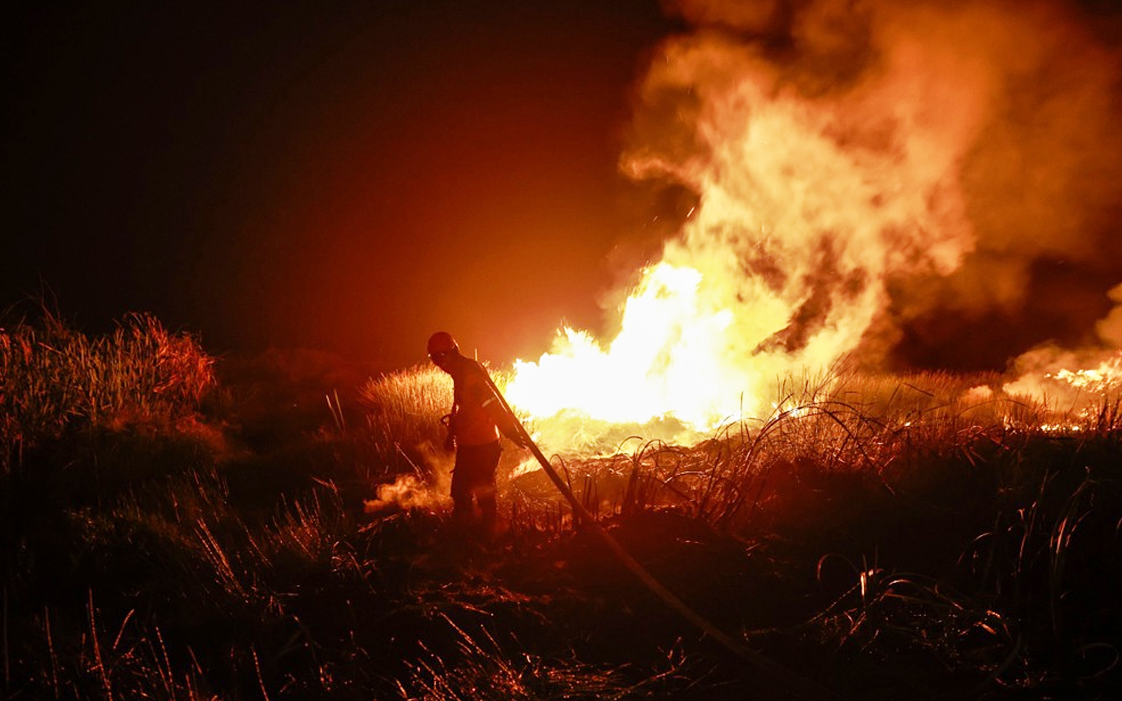 Malaysia stands ready to assist Indonesia with forest fire response