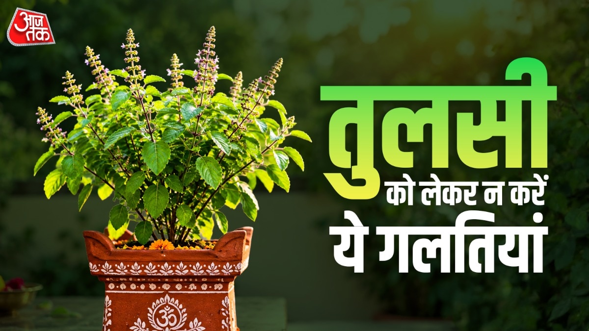 Vastu Guide: Ideal Placement for Tulsi Plants in Your Home