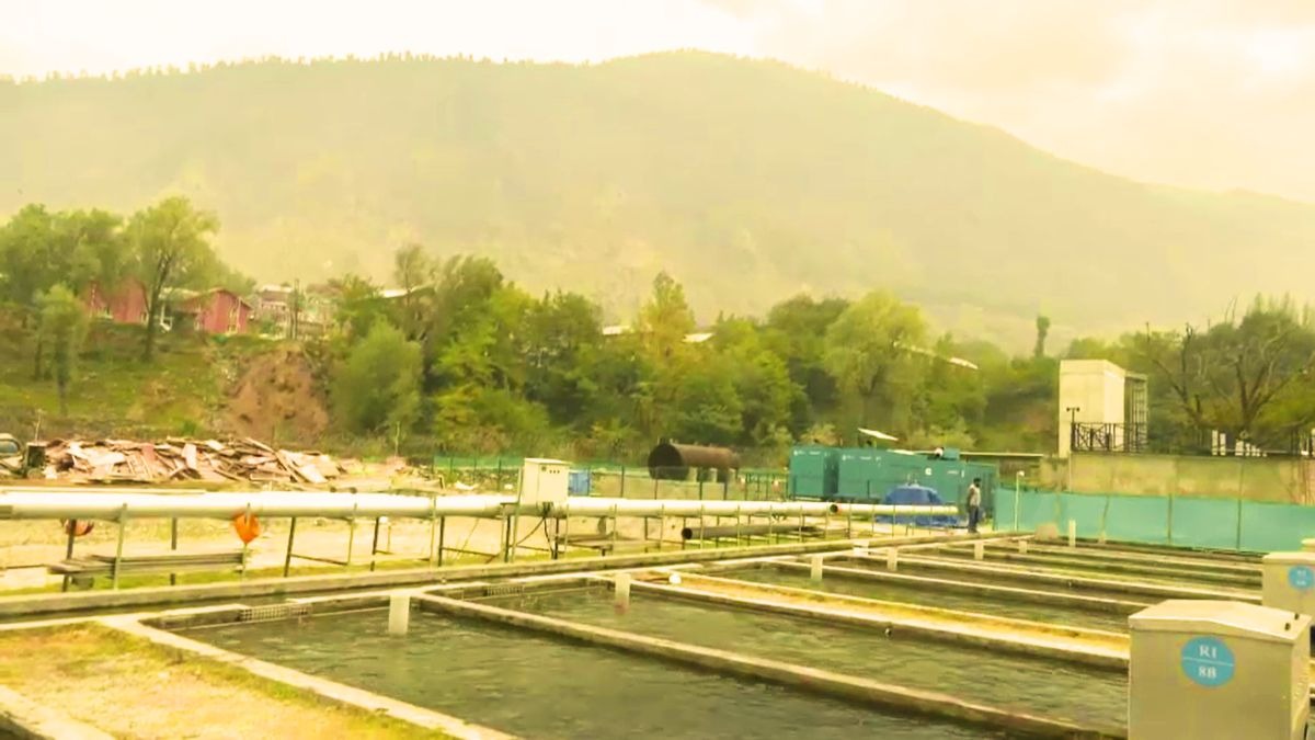 Asia's largest trout farm to boost Kashmir's rural economy and employment