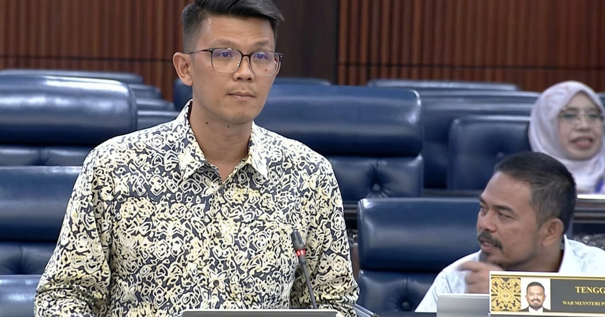 Gopeng MP pushes for stricter e-commerce food safety regulations