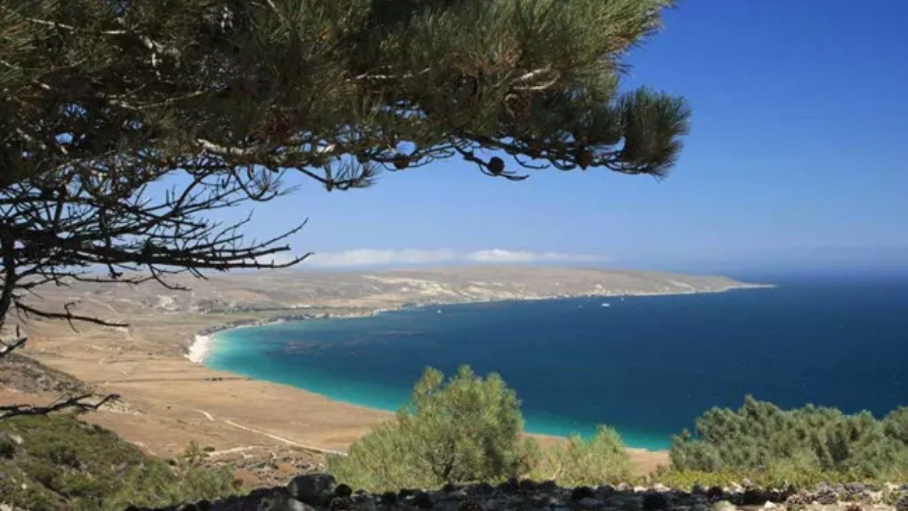 US Government Acquires California Island for Conservation Push