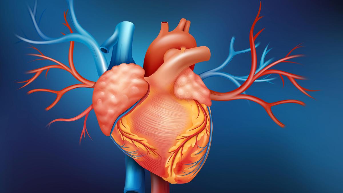 Kerala CM's Angioplasty Caution Sparks Medical Community Debate