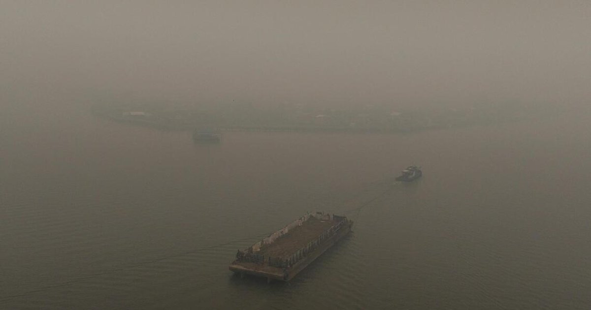 Drought Strands Indonesian Palm Oil Exports as Rivers Run Dry