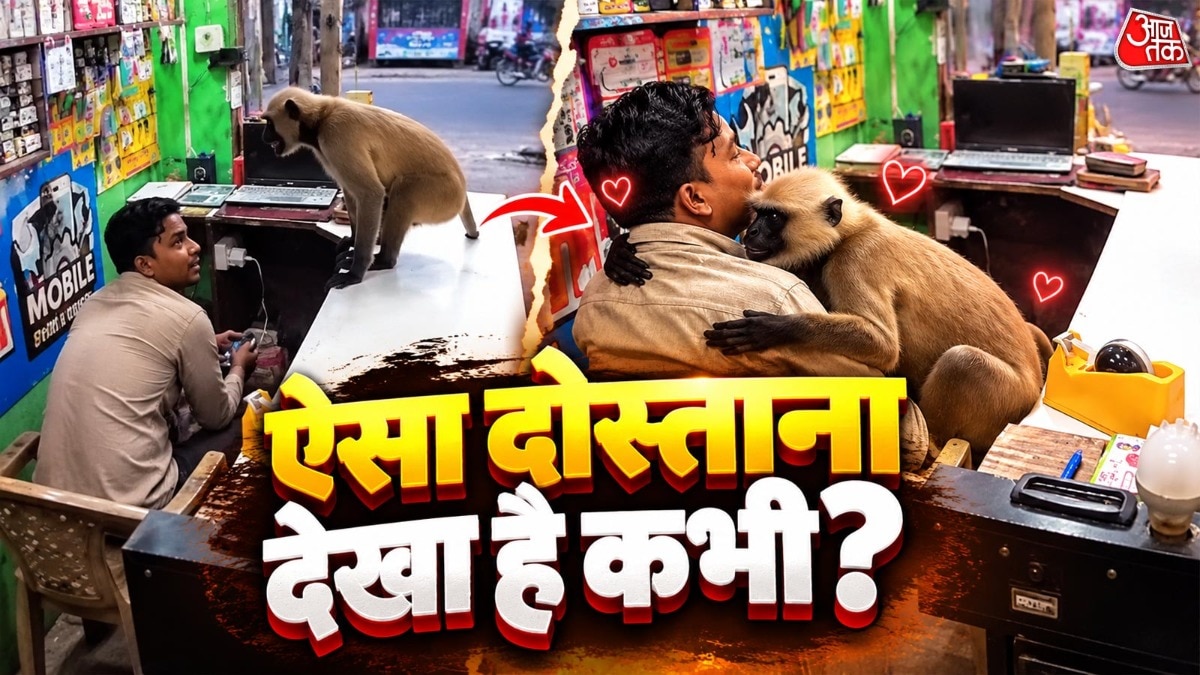 Viral video shows langur embracing mobile shop owner in unusual encounter