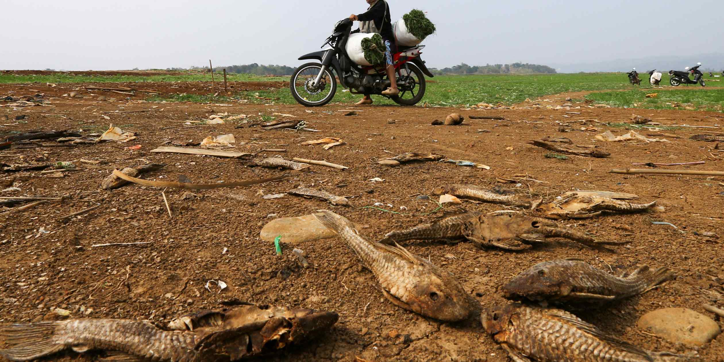 IMF sounds alarm over deteriorating global food security as El Niño looms