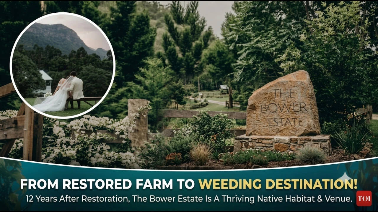 Queensland estate marries weddings with forest restoration efforts