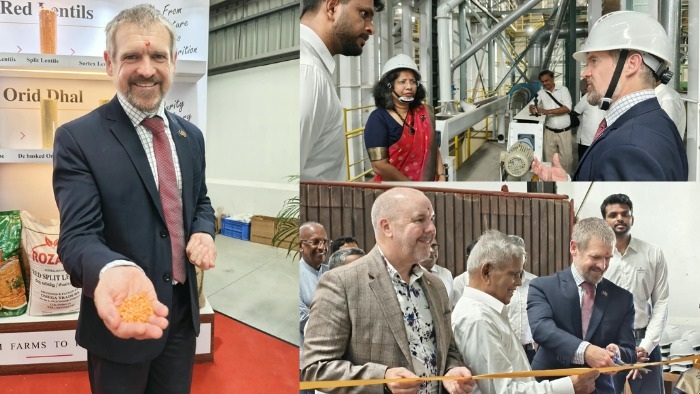 Australian lentils dominate Sri Lanka's dhal curry market