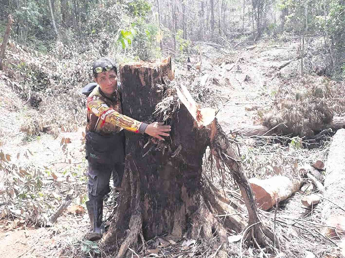 High Court Exonerates Ex-Principal in Tree-Cutting Case for Lack of Evidence