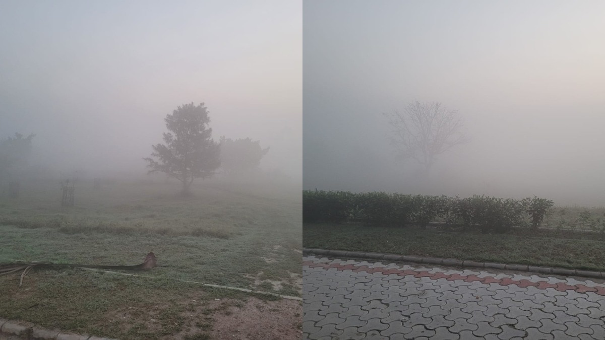 Delhi-NCR Blanketed by Dense Fog as Post-Dussehra Weather Shifts