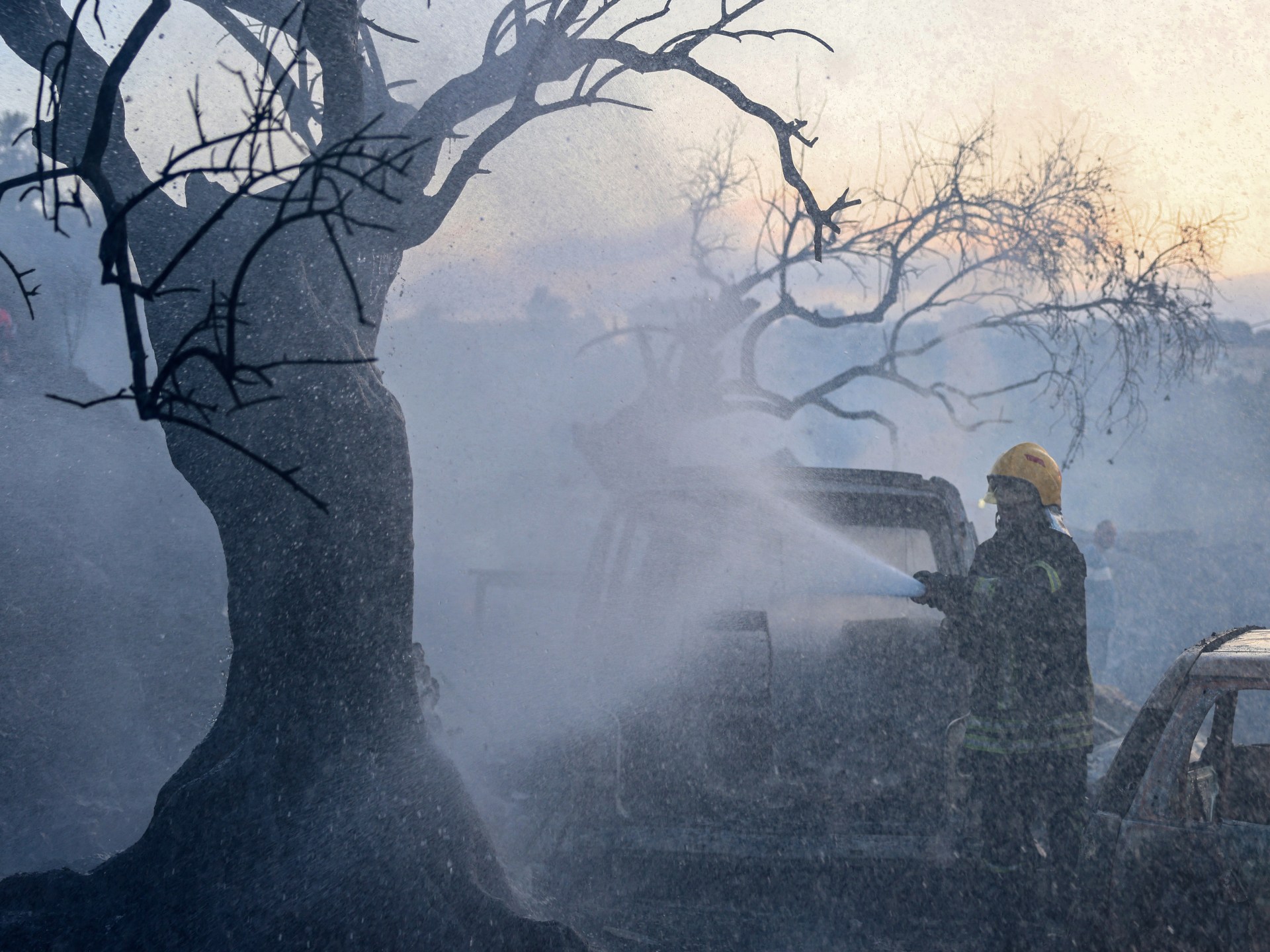 West Bank olive harvest disrupted by settler violence, property damage