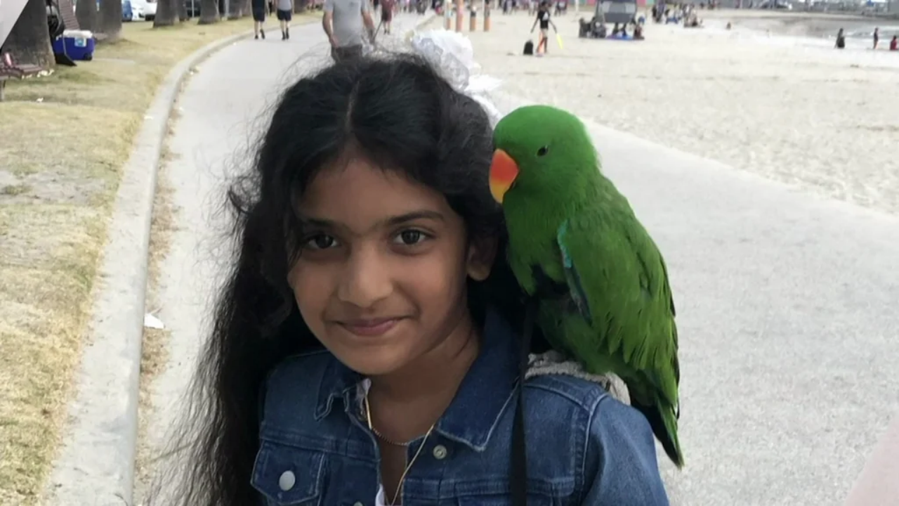 Australian coroner rules Indian-origin girl's death from myocarditis preventable