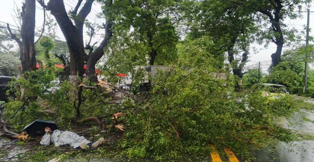 Pampanga motorcyclist injured after tree branch falls on roadway