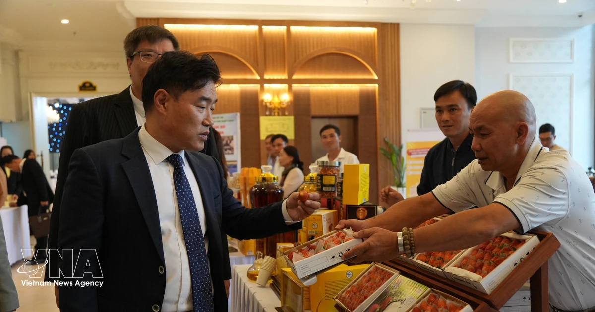 Lam Dong pursues expanded economic partnership with South Korea