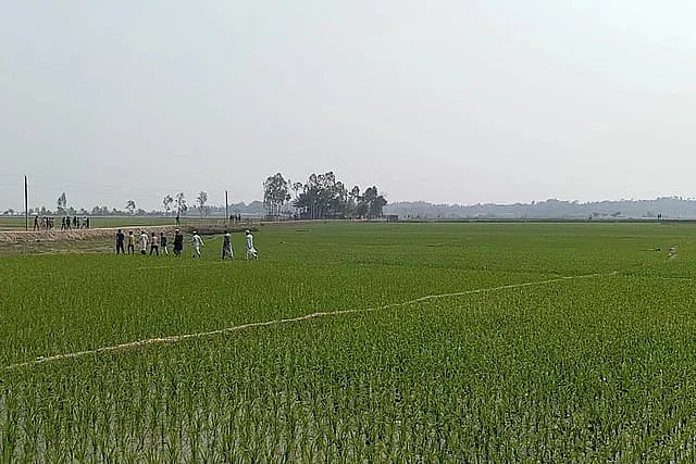 Bangladesh fertiliser subsidy fuels illegal Myanmar smuggling trade