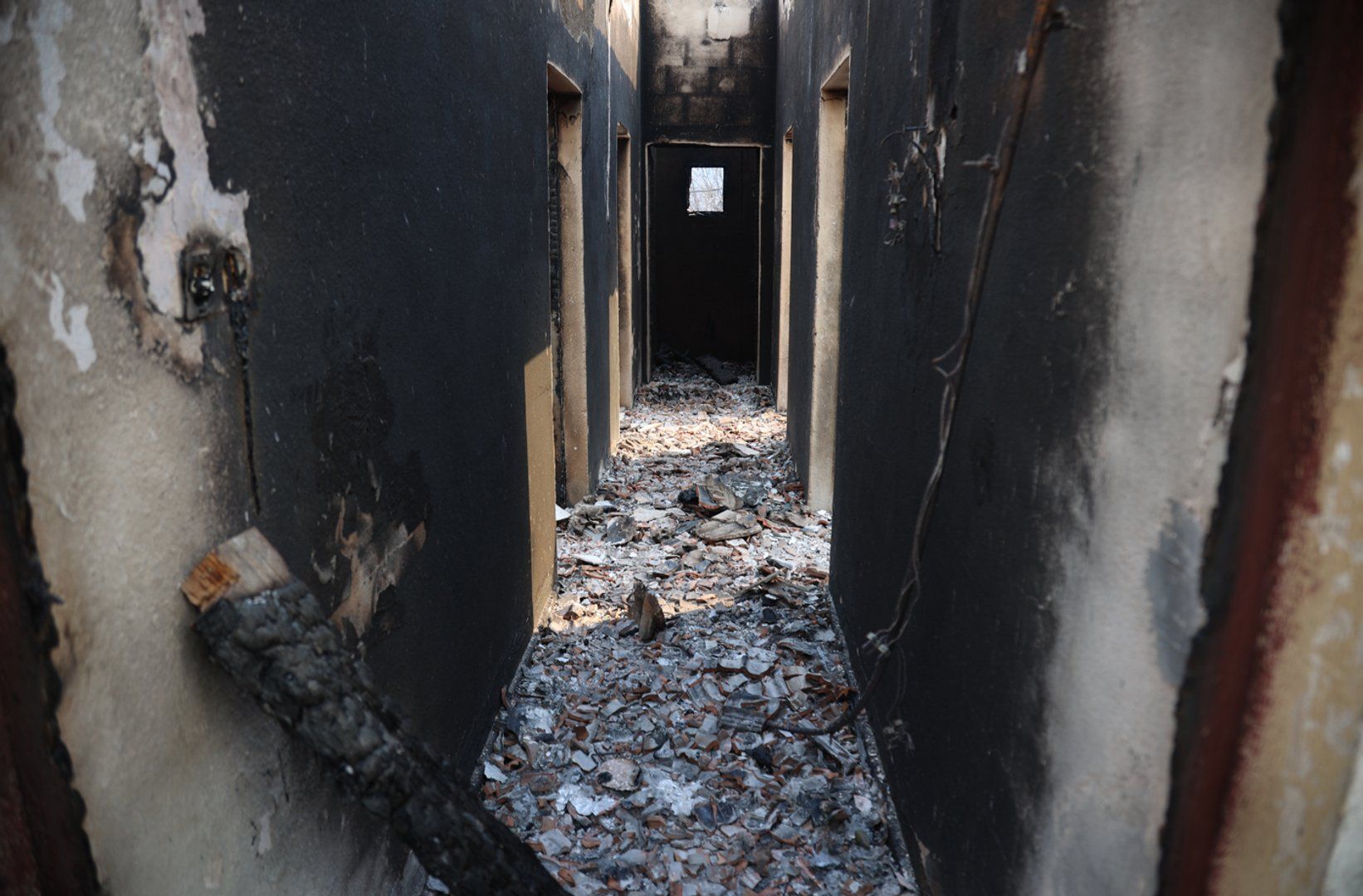 Algeria wildfire death toll climbs as northeastern blazes destroy communities