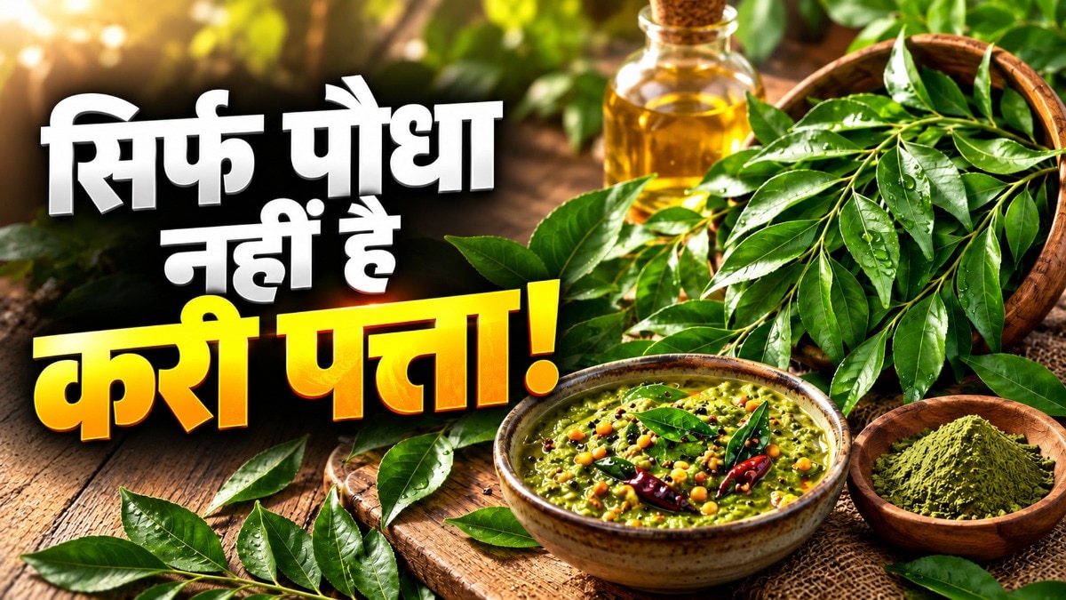 Curry Leaves Offer More Than Flavour: Health and Household Benefits