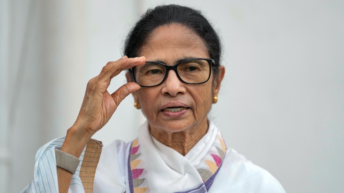 Woman attacks Bengal's Mamata Banerjee at Durga Puja pandal opening