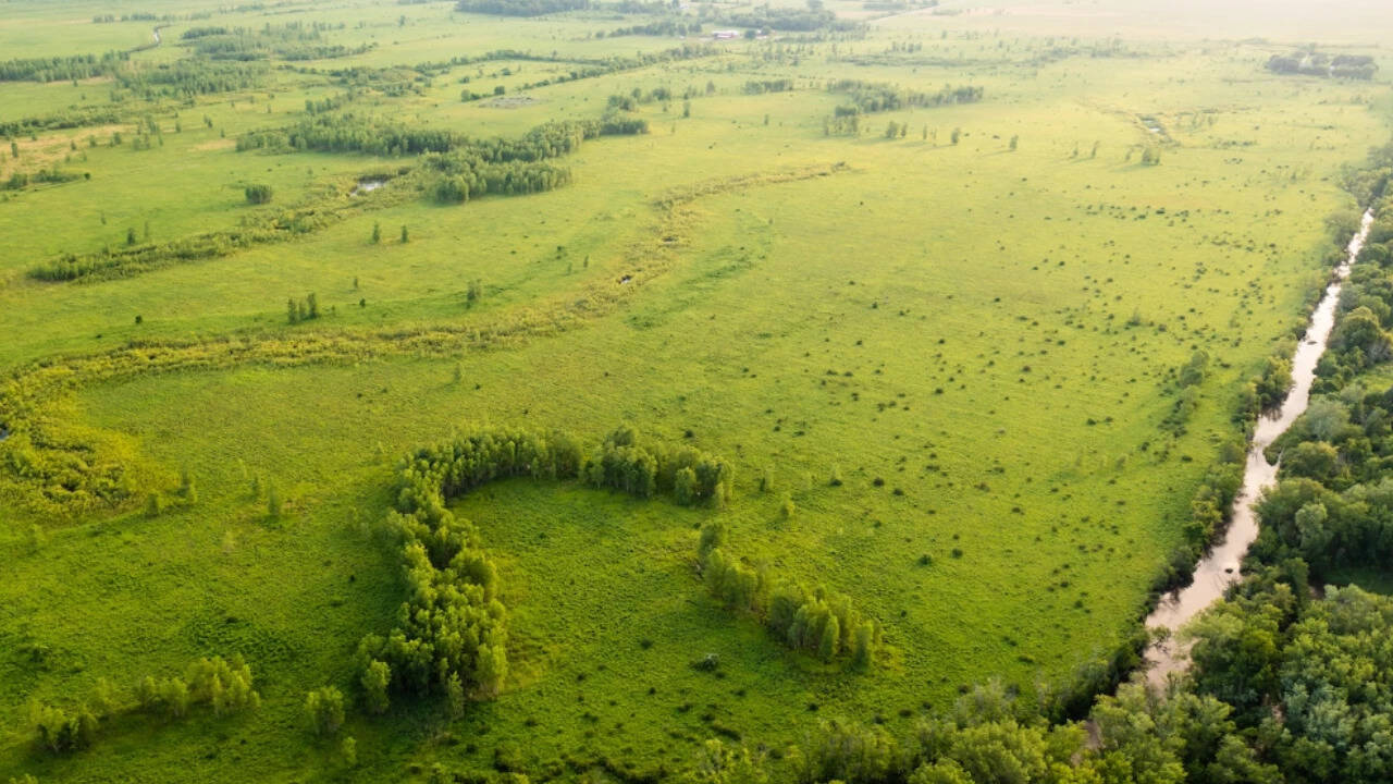 Wisconsin Wetlands Restored After Decades of Agricultural Drainage