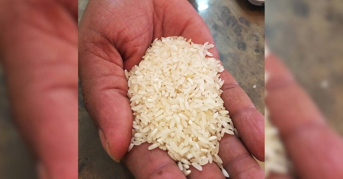 Kalanamak Rice Experiences Revival as Demand Surges Across India
