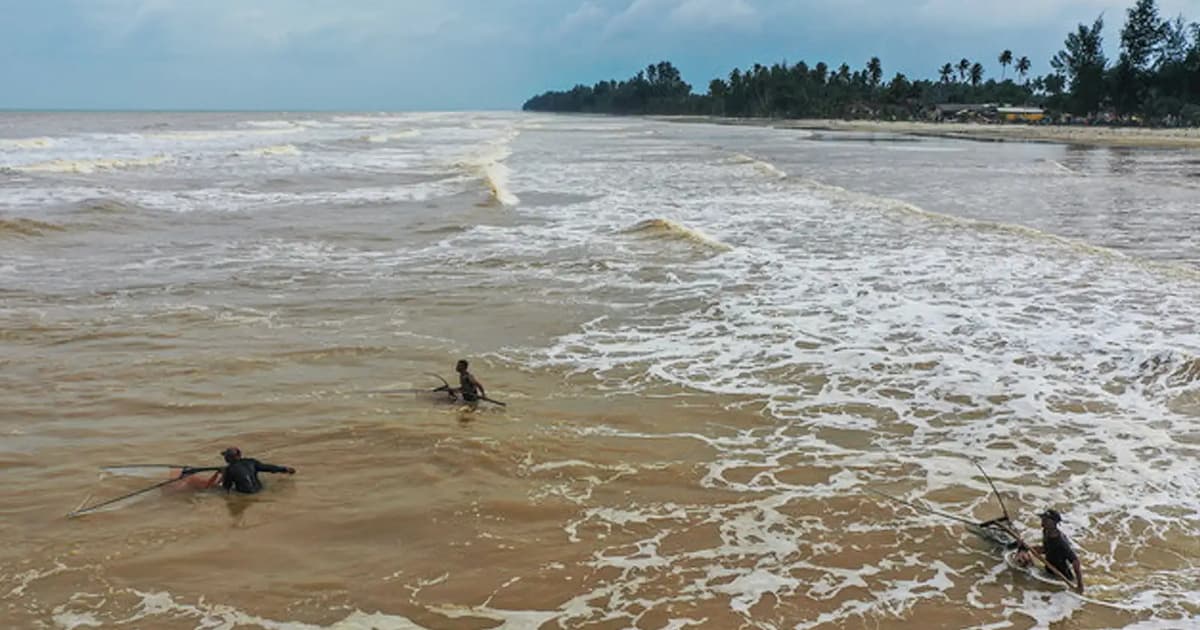 Kanak-kanak berusia 8 tahun cedera dalam serangan anjing liar di pantai Kelantan