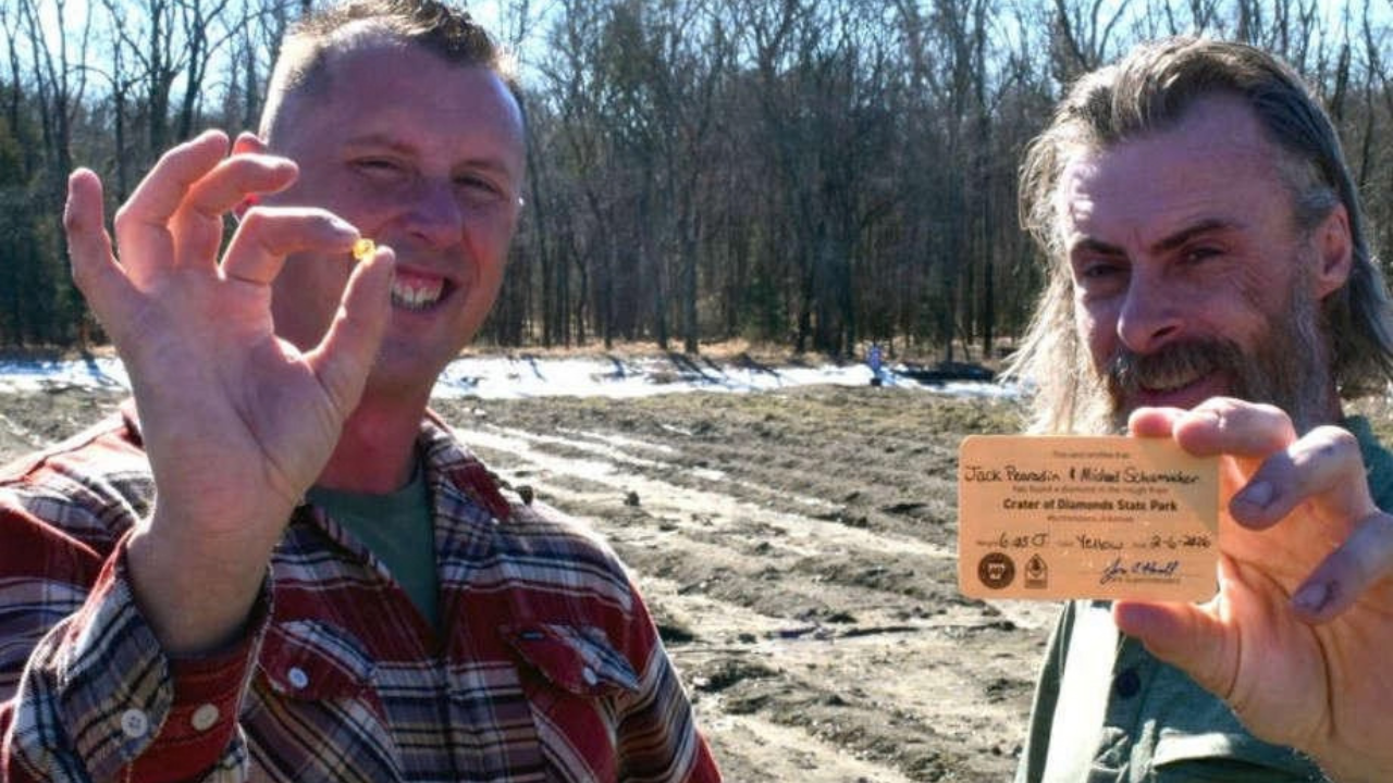 US man unearths rare 6-carat diamond after 13-year search