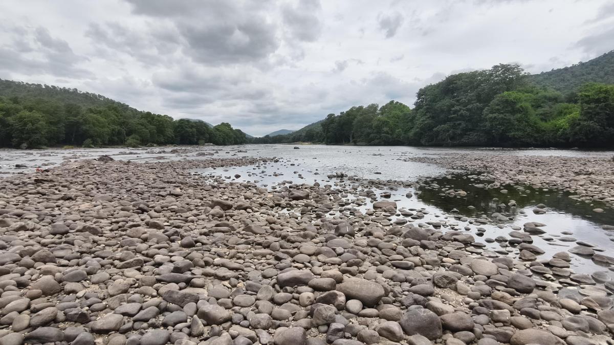 Tamil Nadu demands Karnataka release 17,604 tmcft Cauvery water backlog