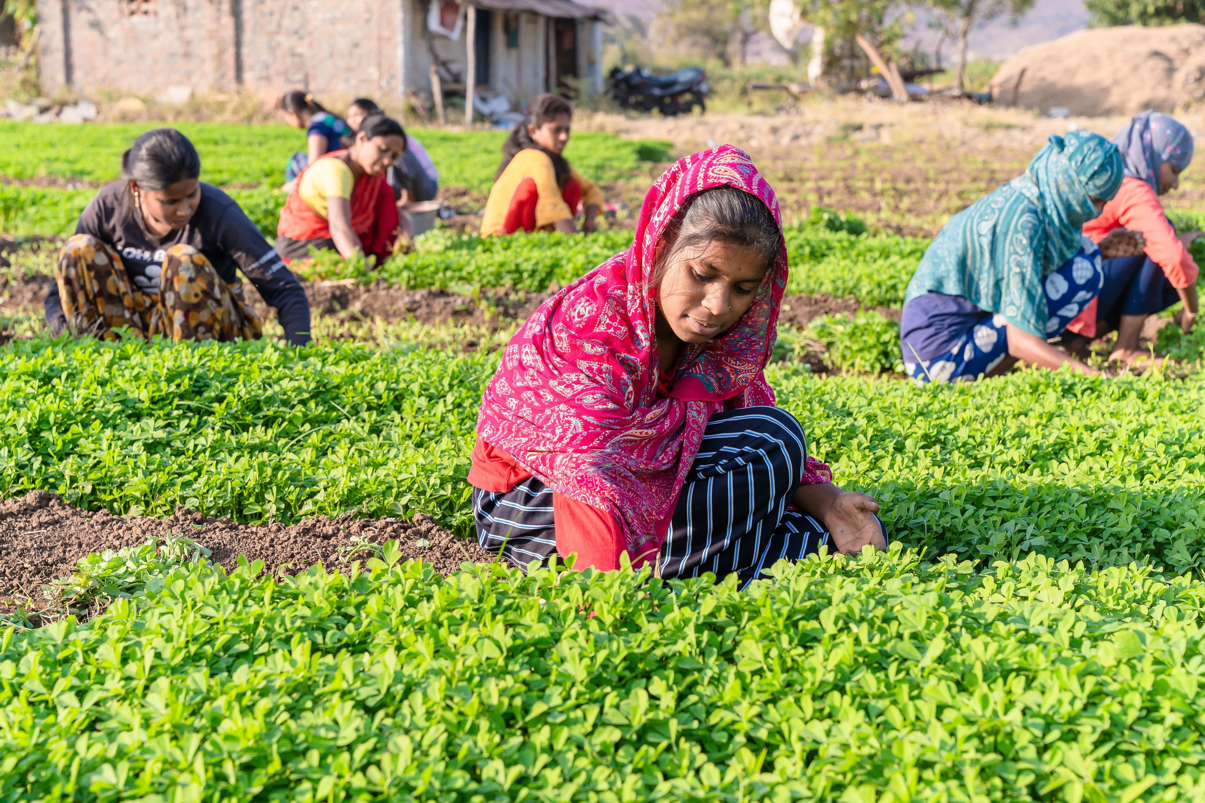 भारत में महिला कार्यबल वृद्धि कम शिक्षित महिलाओं के नेतृत्व में: आईसीआरईआर