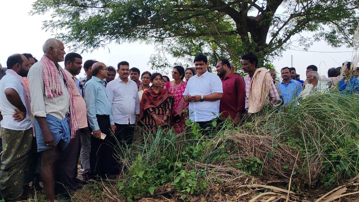 Andhra floods destroy crops across 13,000 acres in Srikakulam district