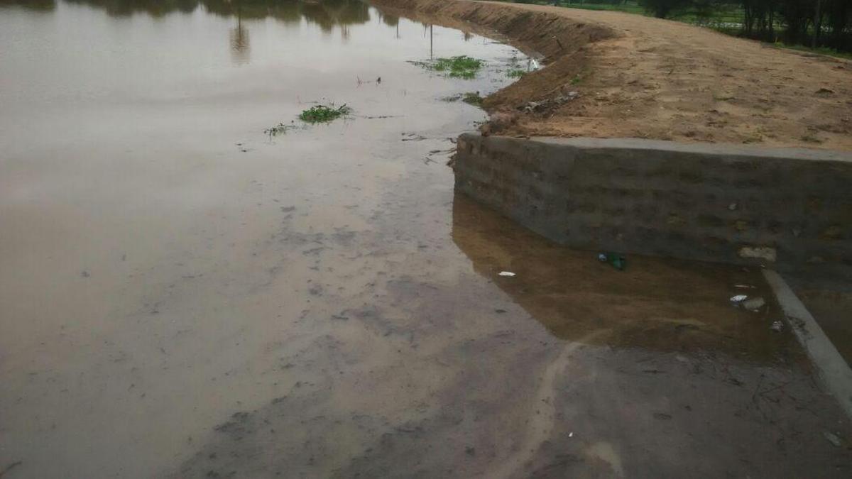 Telangana experts urge restructuring of irrigation sector after merger failure