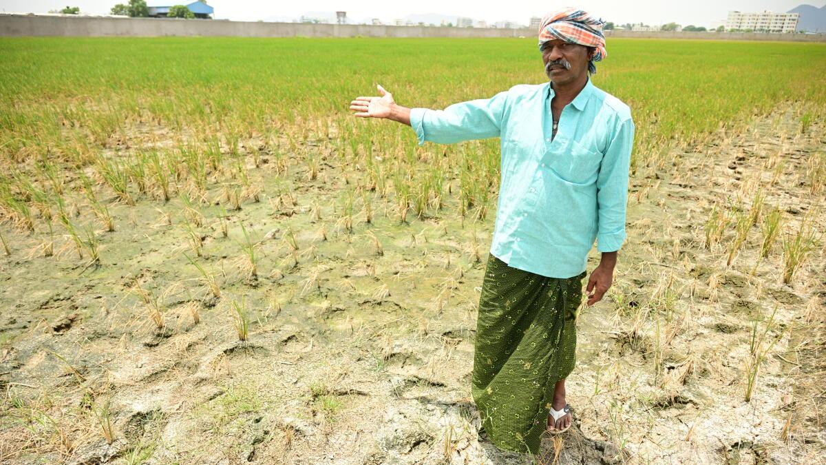 आंध्र प्रदेश में मानसून में बारिश के दिन सामान्य से काफी कम