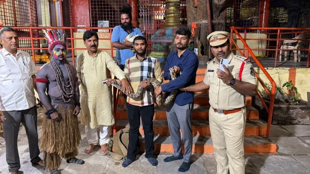 Python seized during Hyderabad Ganesh festival procession