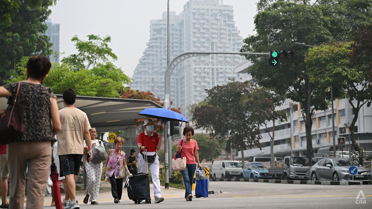 Singapore grapples with seasonal haze spike amid mixed public response