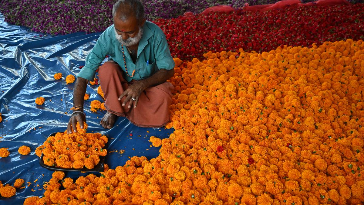 Inflation threatens Kerala's Onam festival flower market