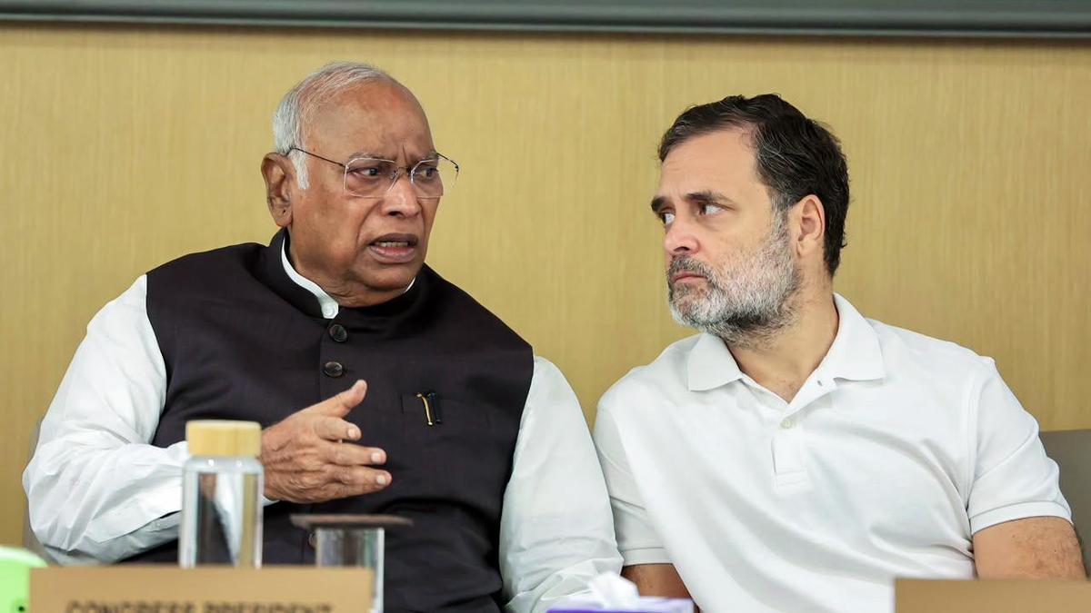 राहुल गांधी का दावा: पीएम ने कहा कांग्रेस ही बीजेपी को हरा सकती है