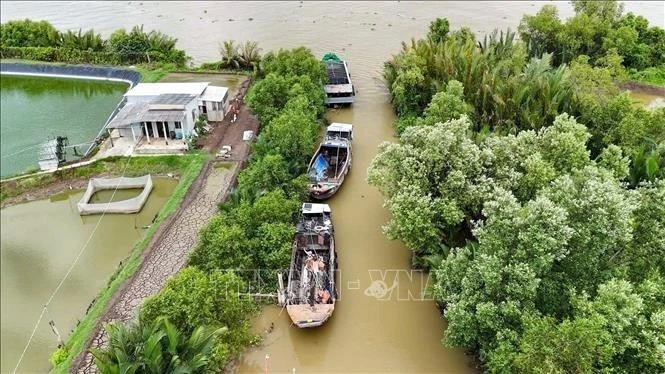 Tay Ninh strengthens fishing fleet oversight to combat IUU violations