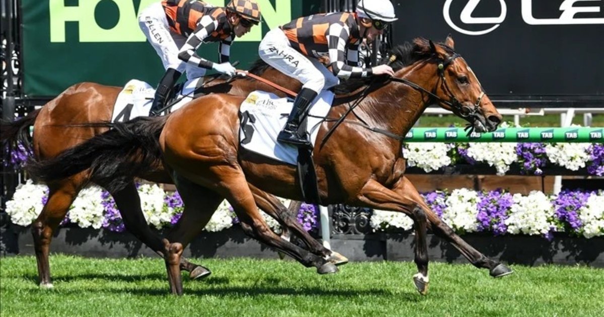Warnie poised for Group 1 victory breakthrough