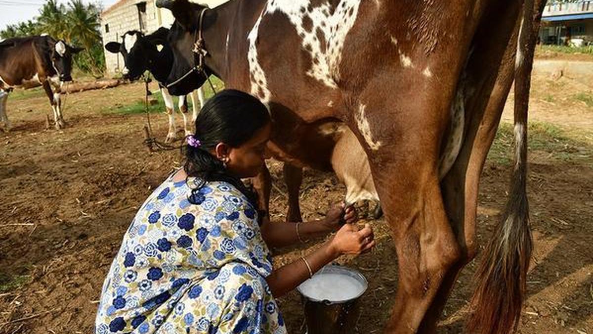 Karnataka MLA urges ₹10/litre milk price hike for drought-affected farmers