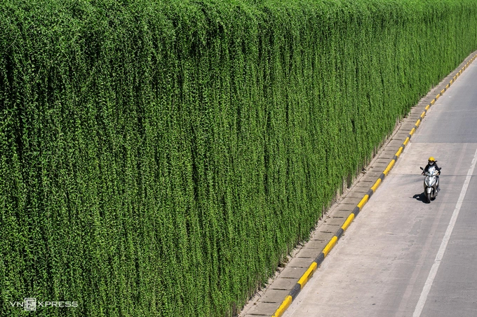 Hanoi launches major greening initiative across transport hubs