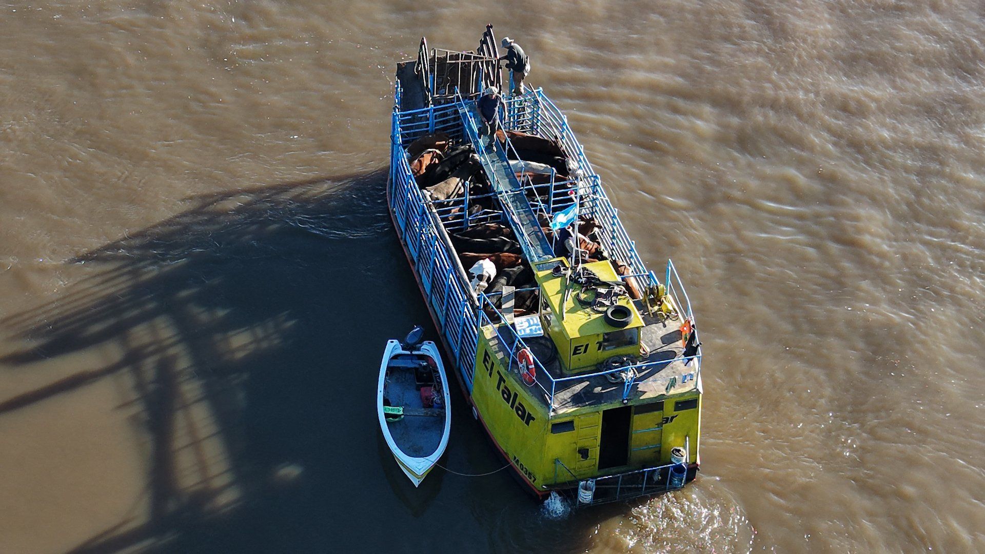 Argentine ranchers resort to boat rescues as El Niño floods trigger livestock exodus
