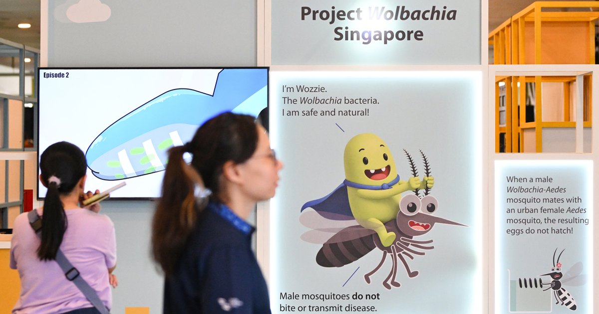 Wolbachia dengue control programme reaches majority of Singapore homes