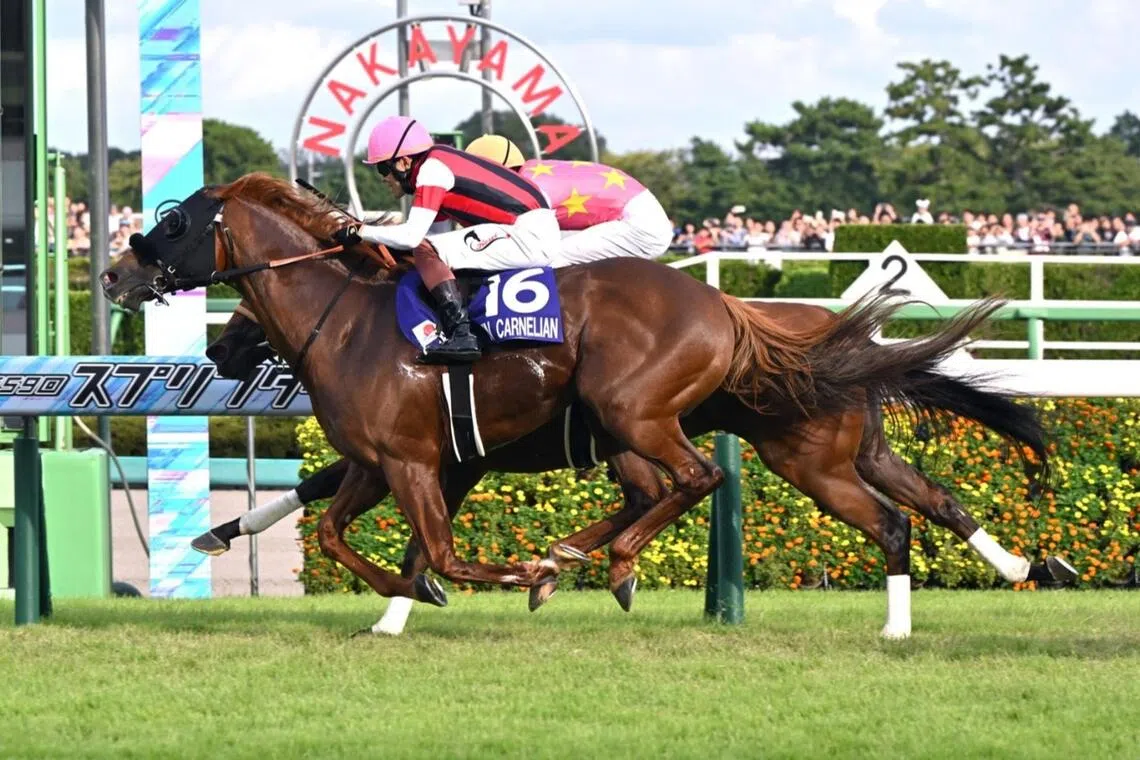 Singapore Pools to broadcast premium Japanese horse racing