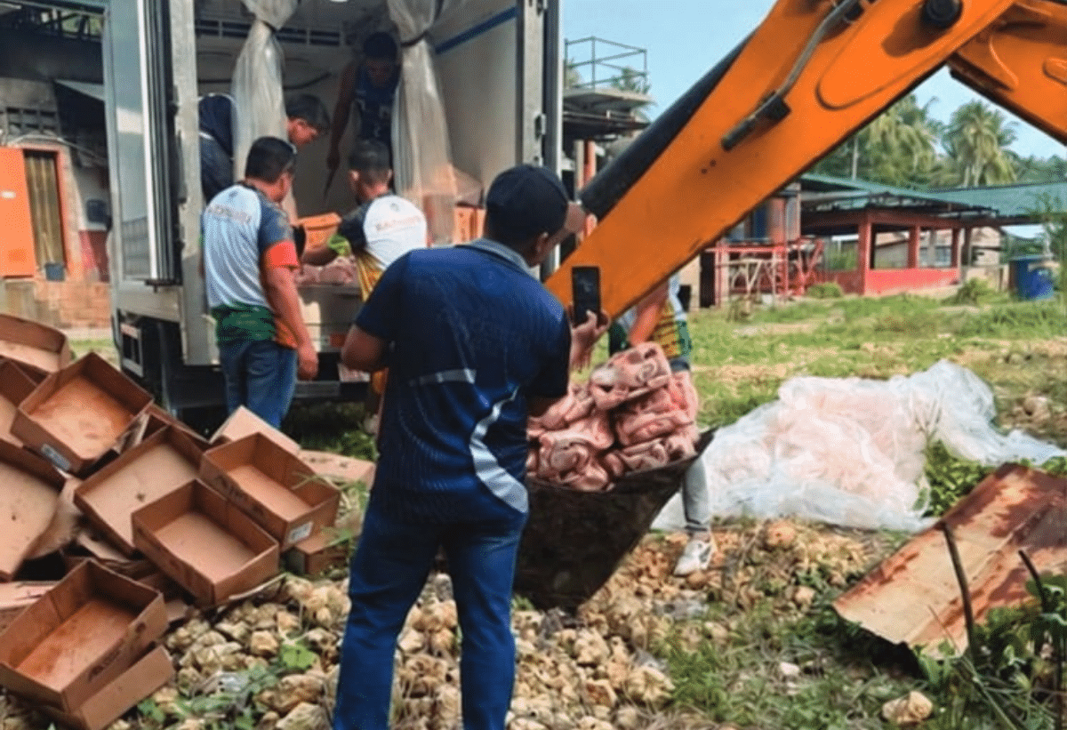 Philippines seizes 630kg of unsafe imported meat in Agusan del Sur